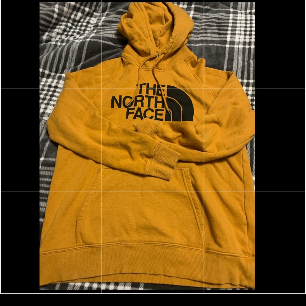 L North face hoodie